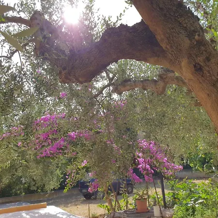 Casa Al Mare Con Parcheggio Interno E Giardino * تْشيفيتانوفا ماركي